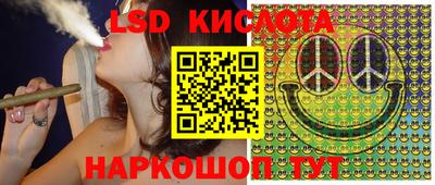 прущие крисы Шелехов