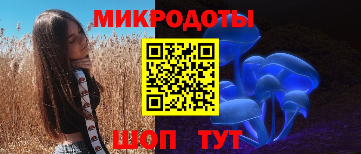 Мончегорск  Псилоцибиновые грибы Cubensis  Вход с VPN 